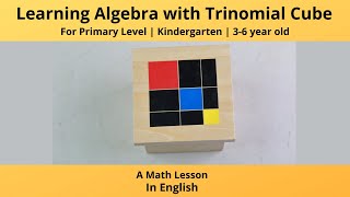 Learning Algebra with Trinomial Cube - A Math Lesson | Primary Level