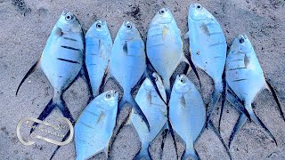 PALOMETA SLAY ON POMPANO BEACH