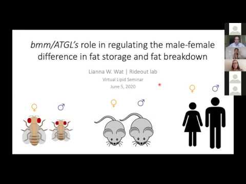 LRD Seminar, June 5th, 2020: Lipid Storage and Utilization - YouTube