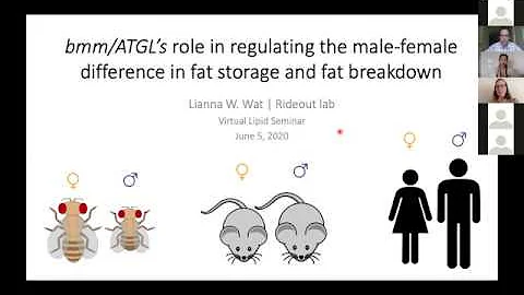 LRD Seminar, June 5th, 2020: Lipid Storage and Uti...
