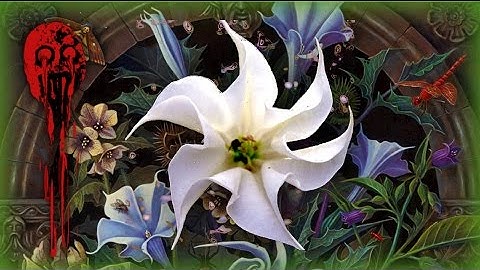 5 Terrifying Datura Trip Stories