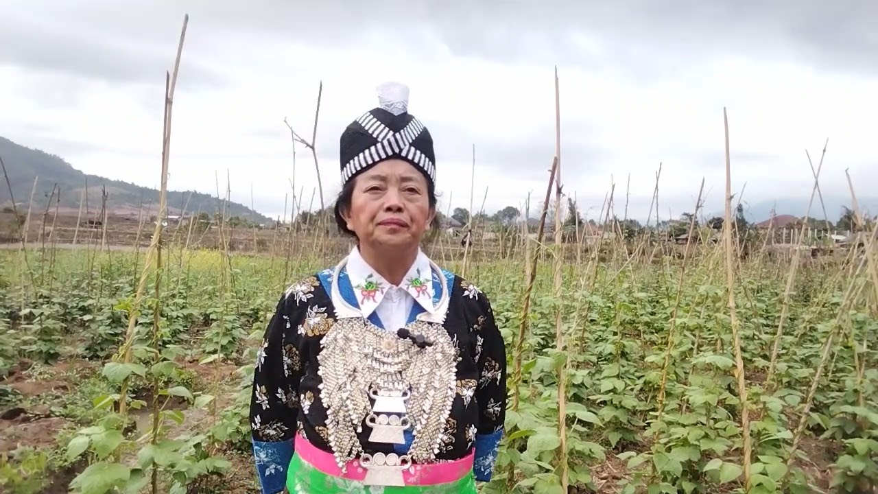 Kwv txhiaj nco viv ncaus nyob qub zej zos