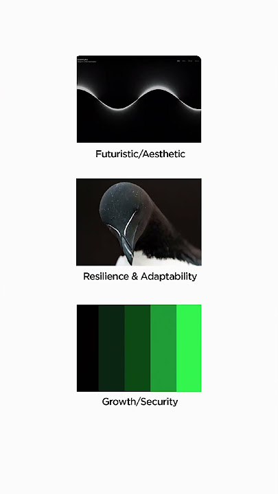 When the client ask for a sexy website Let me know your thoughts #uiuxdesign #figma #fyp