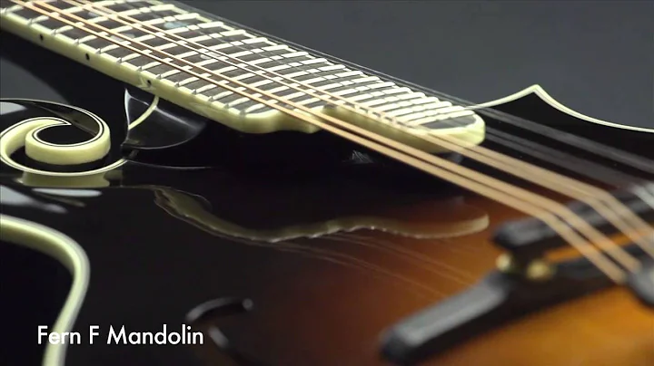 Weber Fine Acoustic Instruments: Fern F Mandolin V...