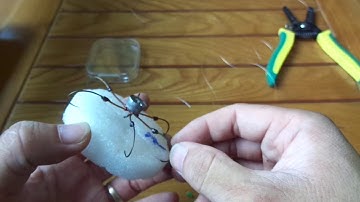 [Đồ Câu Hải Đăng ] HƯỚNG DẪN BUỘC CHỐNG LẬT LỤC