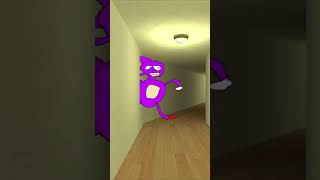 Chasing Hyper Sanic Nextbot