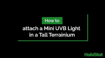 How to attach a Mini UVB Light in a Tall Terrainium