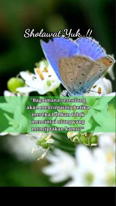 sholawat Snack video 2021