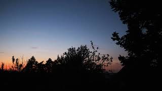 Sunset Through The Trees Peaceful Evening View