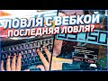 ЛОВЛЯ С ВЕБКОЙ // ЛОВЛЯ АРИЗОНА РП ПО ГОСУ