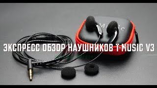 Экспресс обзор вкладышей T-Music V3 - Как они это сделали?