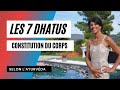 Les 7 dhatus  les constitutions du corps humain selon layurvda