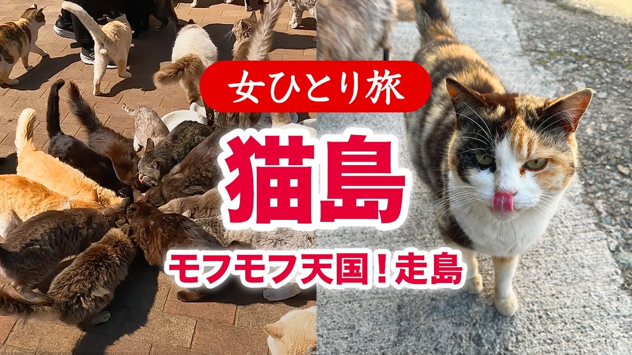 【女ひとり旅】猫島／モフモフ天国！広島県走島 2026.03【国内旅行】