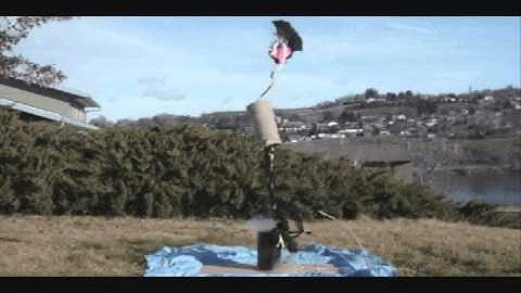 Successful Test of 6" Peregrine IDS with 16