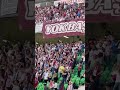 Bandırmaspor Taraftarı - Kronikler, Bordo Cehpe