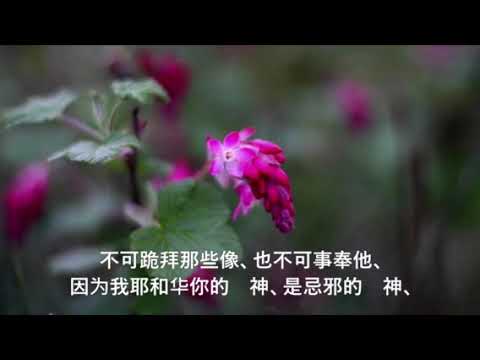 以马内利12月8日圣经金句朗读 Youtube