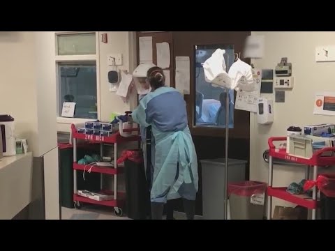 Have an RN license? NYC Health+Hospitals is hosting a job fair in the Bronx
