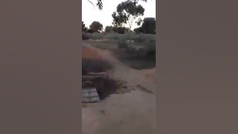 Probably the best thing I