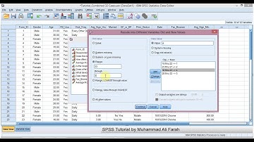 SPSS Statistics  Lesson 13 Re coding Variables