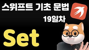 스위프트 기초 문법 - 19일차 / Set