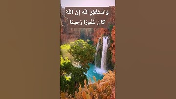 #تلاوة_قرآن #quran #القرآن_الكريم #qurankareem #quranforthesoul #خشوع #تلاوة_مؤثرة #qurandaily