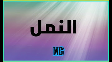 سورة النمل - الشيخ حسام جويدة