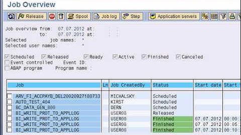 SAP BASIS Training Videos; Introduction to SAP System Administration (Basis)