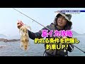 音で寄せて高活性のイカを直撃！夏イカエギング in 長崎県平戸 -  ルアーパラダイス九州TV