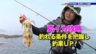 音で寄せて高活性のイカを直撃！夏イカエギング in 長崎県平戸 -  ルアーパラダイス九州TV