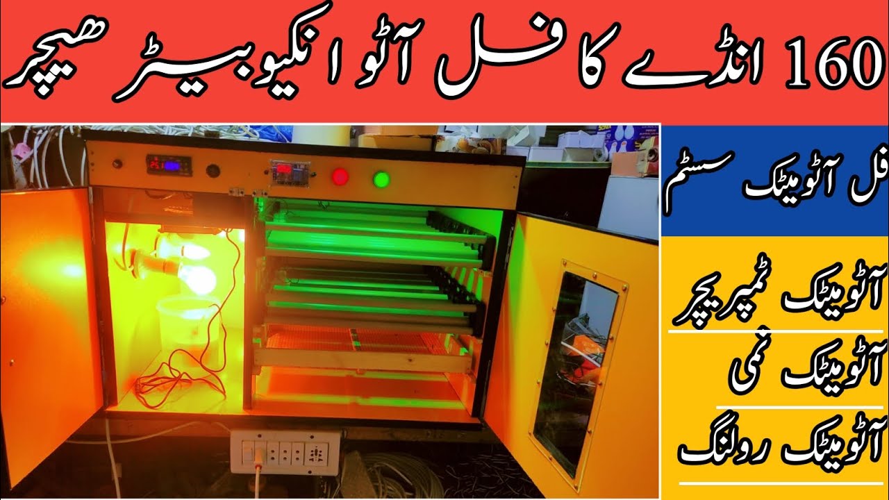 160 eggs Full automatic Incubator Hatcher Machine #chaudharyincubator #incubator #setter #hatching 