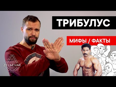 Видео: Что делает трибулус?