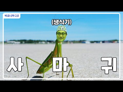 [비오니까2.0]생식기 사마귀는 있고 생식기 여치는 없나요? 콘딜로마 이야기[비뇨기과 비뇨의학과]