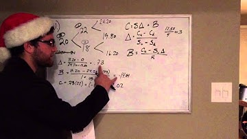 Binomial Tree Option Pricing FIN 421