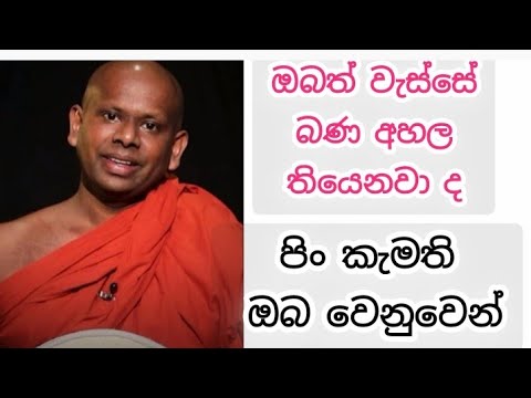 කාලීන ධර්ම දේශනා 🙏🌼🌿 || buddha teaching for our life 💥 #buddha #viral vedeo 