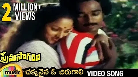 Chakkanaina O Chirugaali Full Video Song | Prema S...