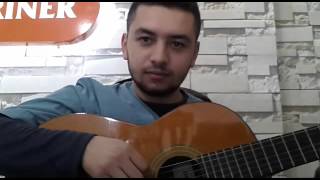 Gitar Ve O Muhteşem Gitar Çalma Olağanüstü Beceri