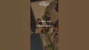 سورة النبأ من 15 الي 18 #اكسبلور #القران #تيك_توك #القاريء #راحة_نفسية #الصلاه #لايك #جامعه #خطبه