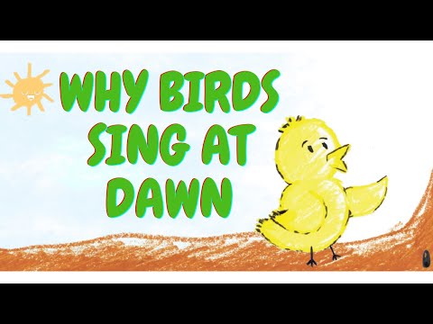 Why Birds Sing
