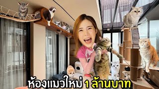 ย้ายบ้านใหม่ห้องแมวใหม่ของนาซ่า ราคา 1 ล้านบาท image