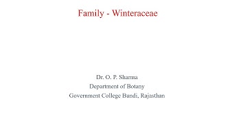 M. Sc. Botany Sem III Paper XIII, Family- Winteraceae, By Dr. O. P. Sharma, Dept of Botany, GC Bundi