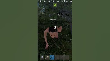 HE ACCIDENTALLY KILLED ME - RUST SHORTS #rust #funny #gaming #rustgame #memes