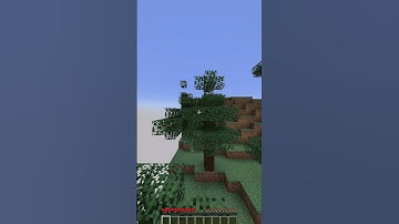 HOW TO FIND SPRUCE LOG IN MINECRAFT