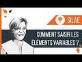 Silae  comment saisir les lments variables de paie 