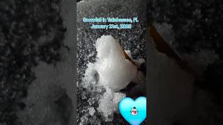 Snowfall in Tallahassee, FL January 21st, 2025 #snowman #snow #floridaweather #shortsviral