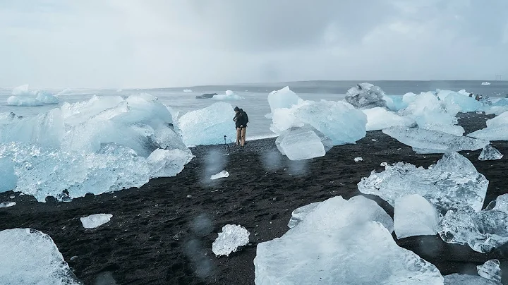 Climate Change Interview with PhD Biologist Richar...