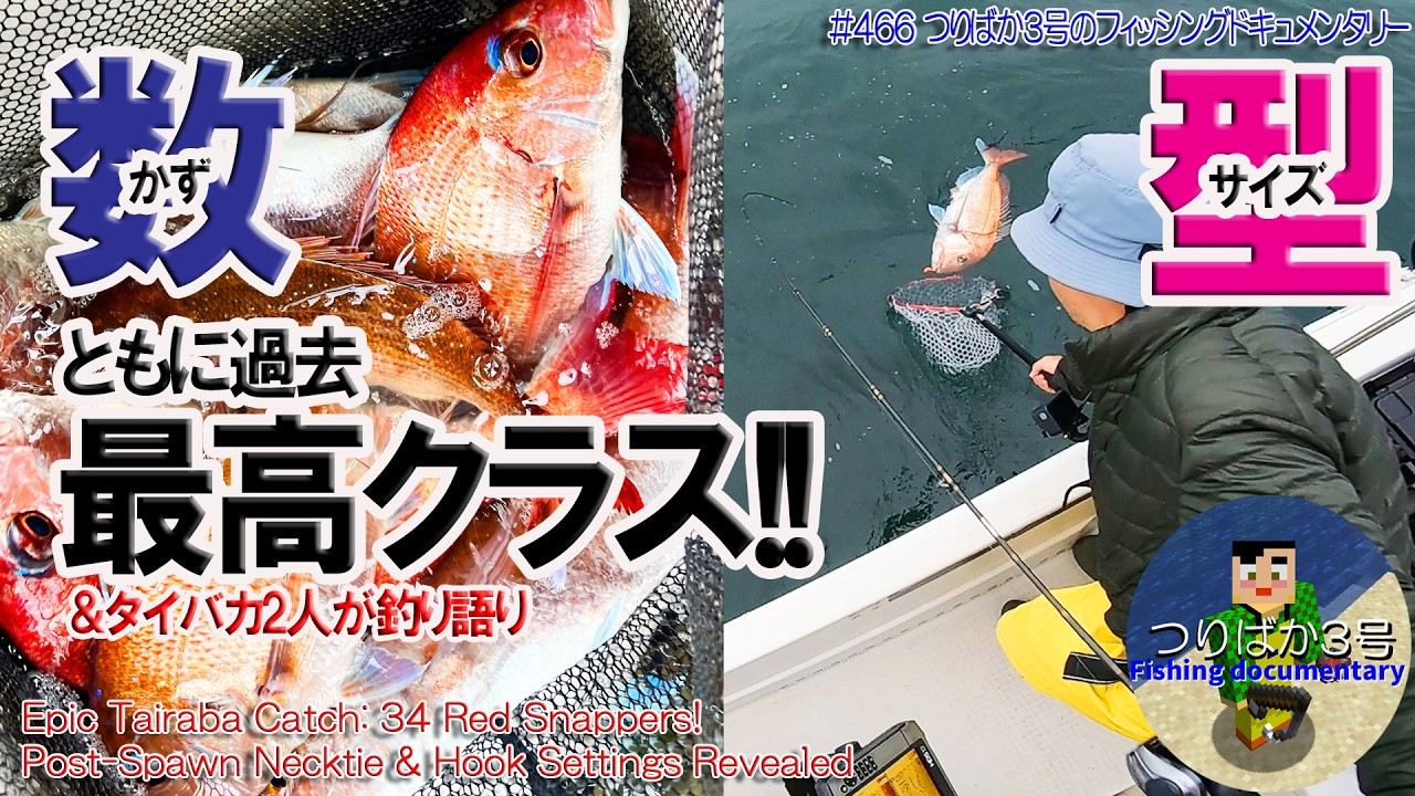 466 [Takamatsu Offshore Tai Rubber] Record-breaking Size and