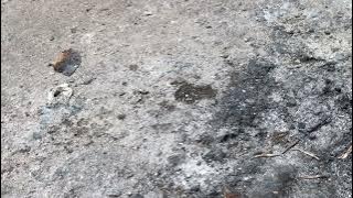 Cwe gemoy lagi membawa motor sangat aneh