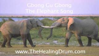 The Elephant Song... TheHealingDrum.com chords