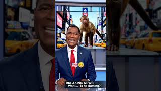 Viral Funny News 📰🐍 Anaconda vs Naag Fight Update!🇱🇷😁