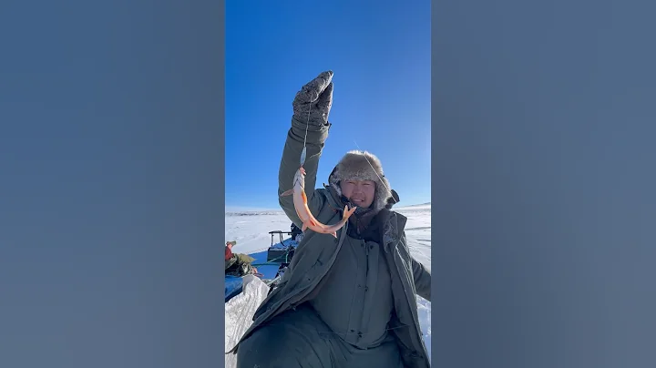 Freshly caught stroganina🎣 / Свежевыловленная строганина🎣 Pandasakha #fishing #permafrost #winter